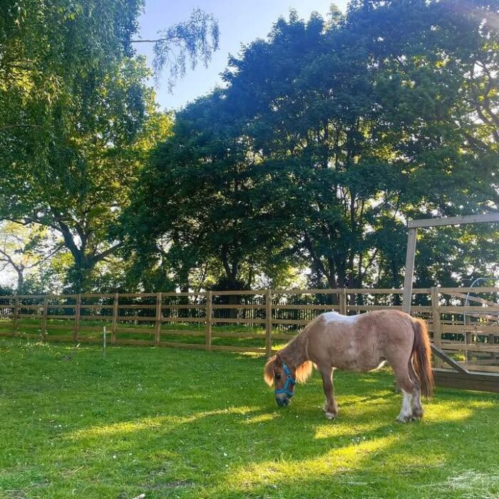 Meet Rose 🌹 our newest member of Foxfields Academy.