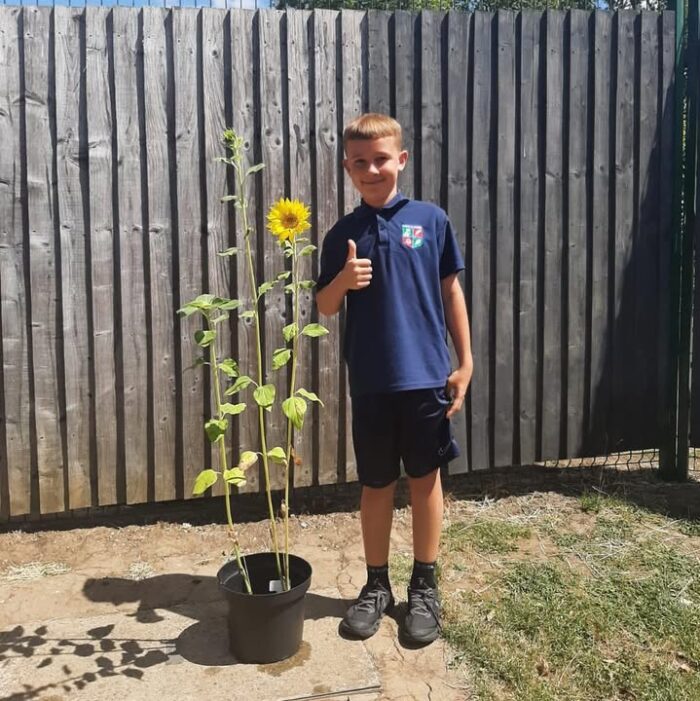 🌻 MJs sunflower in Doyle Class is reaching new heights—its nearly as tall as he is! 🌻
Were incredibly proud of all our Doyle students for the dedication and care theyve shown in cultivating such a vibrant and beautiful garden space this year. 🌿🌼
#DoyleClass #SunflowerSuccess #GreenThumbs #StudentGardeners #SchoolPride #GrowingTogether #NatureInTheClassroom #MJTheGardener #BloomAndGrow #Outdoors